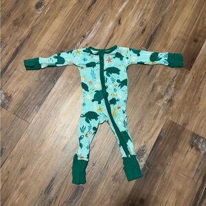 Little Sleepies turtles Pajamas